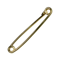 Collar Pin In Gold
