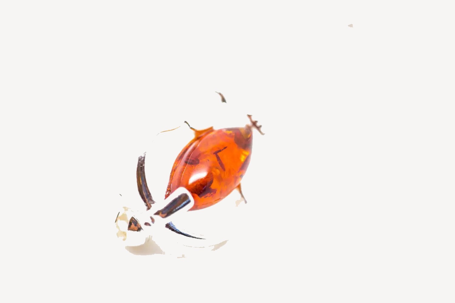 Broche en ambre classique en forme de violon