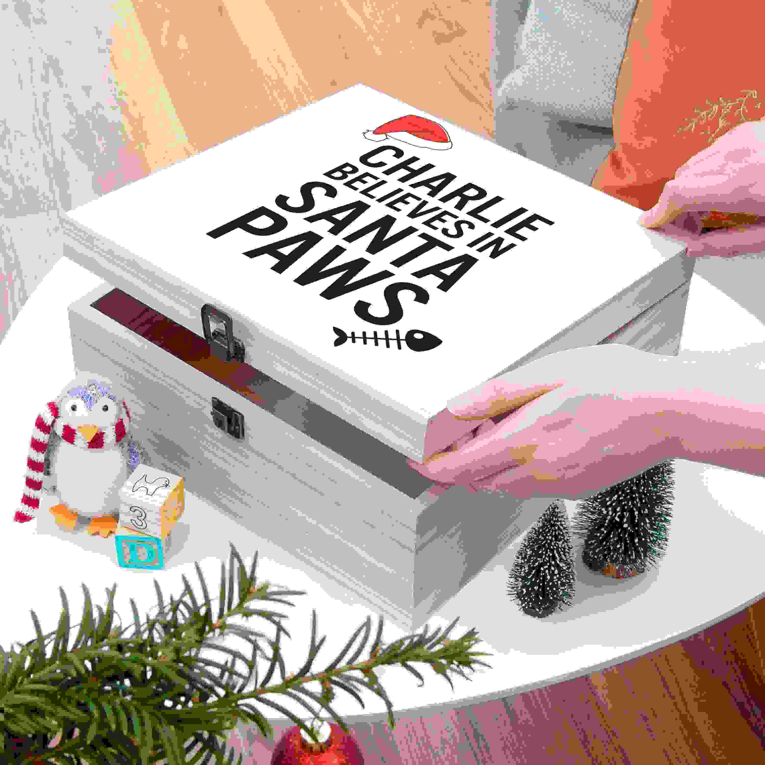 Personalised Pets Santa Paws Christmas Eve Box