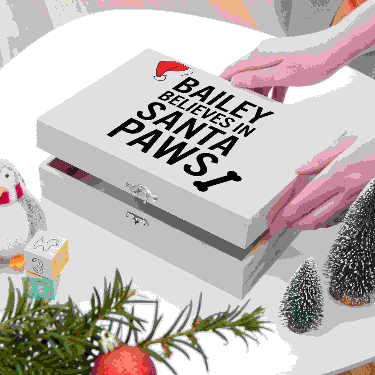 Personalised Pets Santa Paws Christmas Eve Box