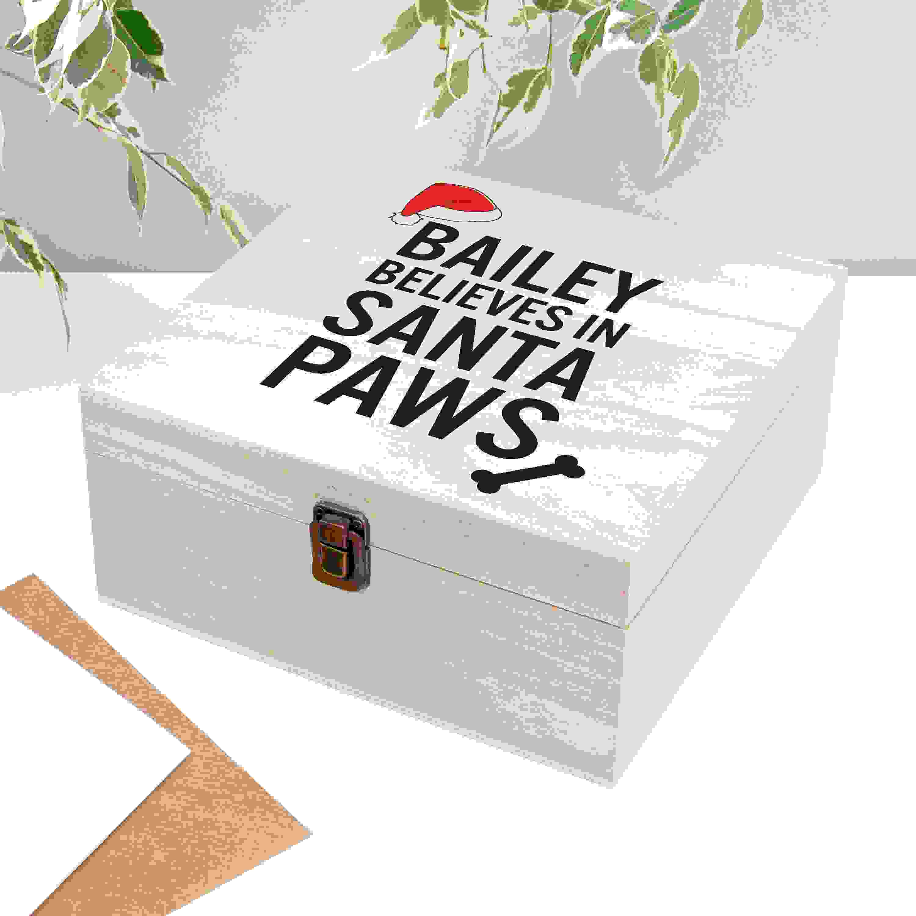 Personalised Pets Santa Paws Christmas Eve Box