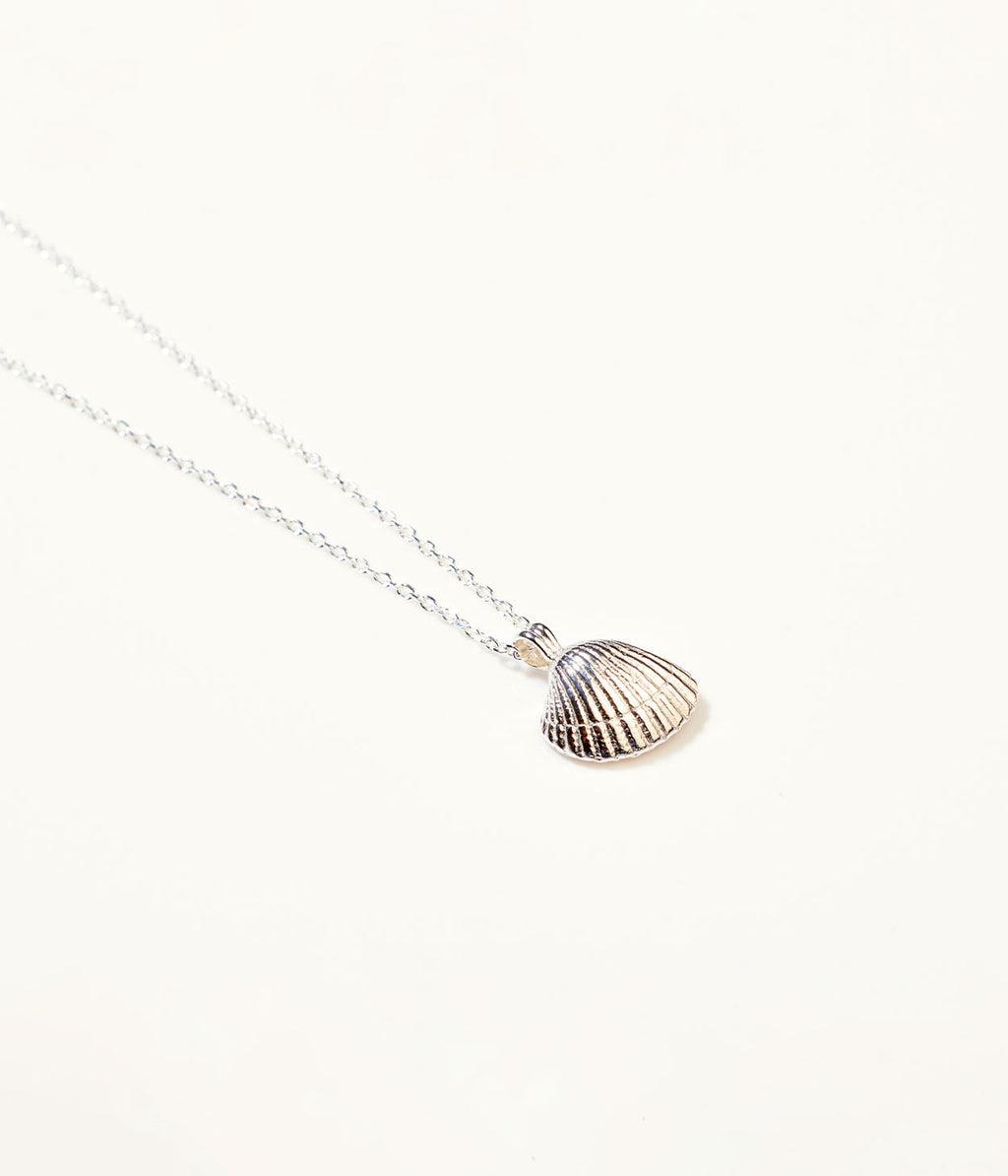 Amber Sea Shell Necklace