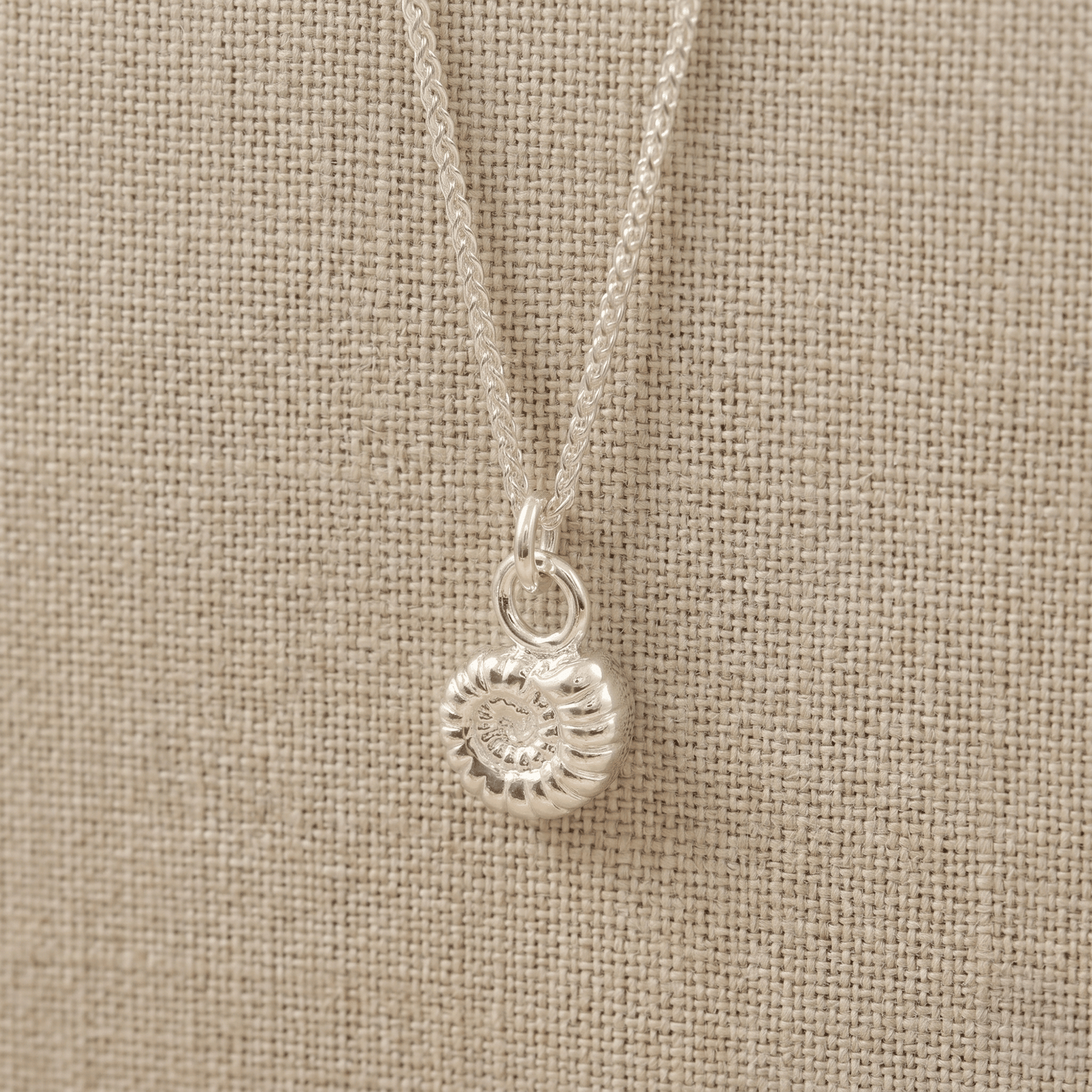 Ammonite Fossil Silver Charm