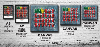 Nottingham Forest FC Shirts - A2 Signed Limited Edition Prints