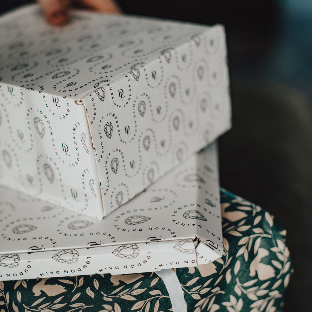 Dainty Silver Real Starfish Necklace