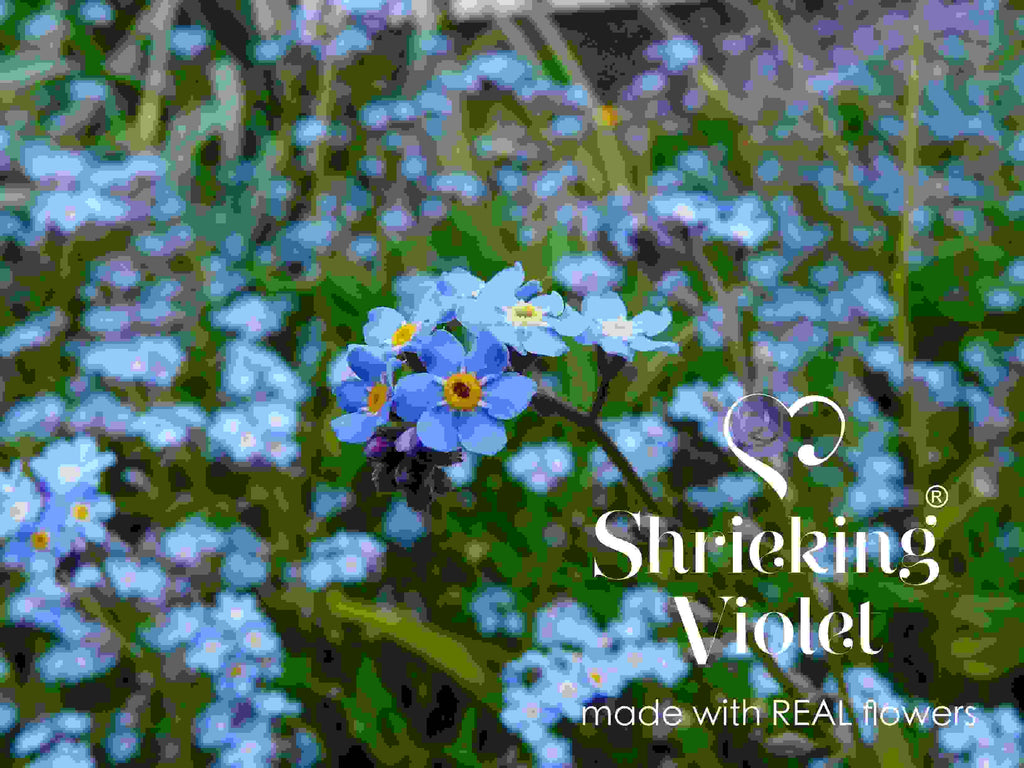 Forget-Me-Not Vertical Bar Drop Earrings