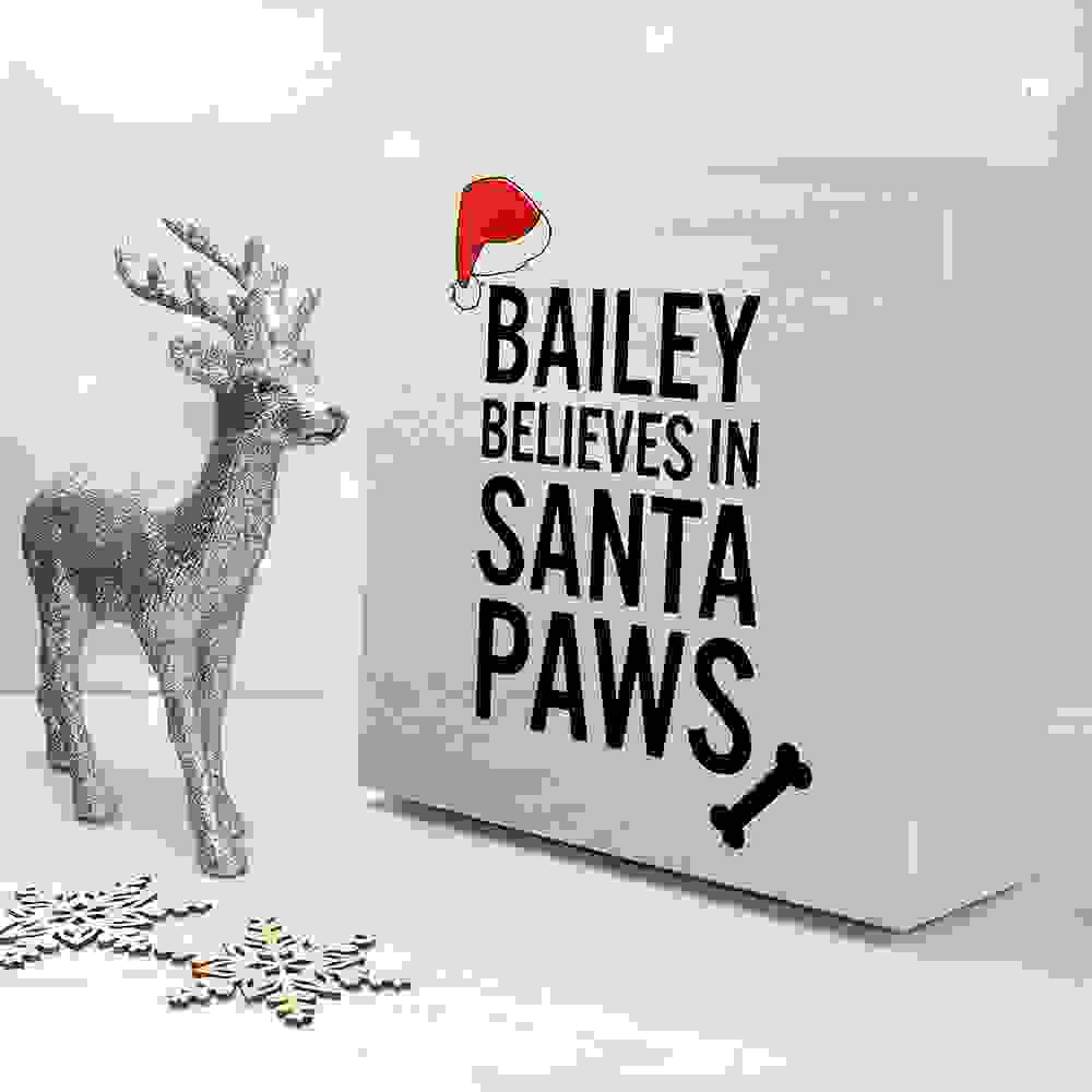 Personalised Pets Santa Paws Christmas Eve Box
