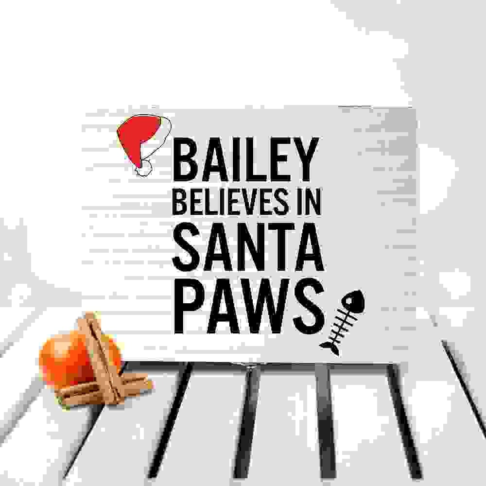 Personalised Pets Santa Paws Christmas Eve Box