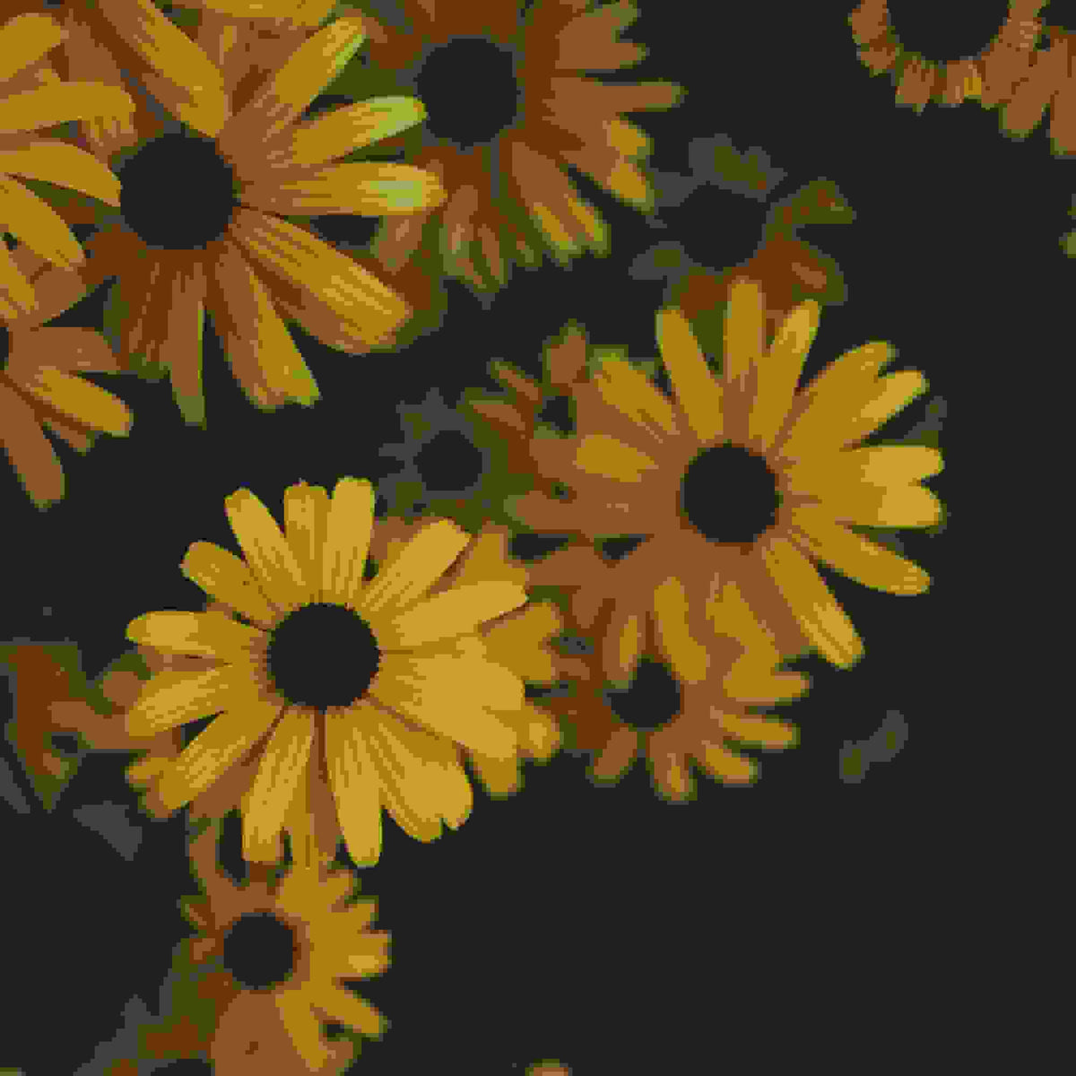Sunflower Round Pendant Necklace