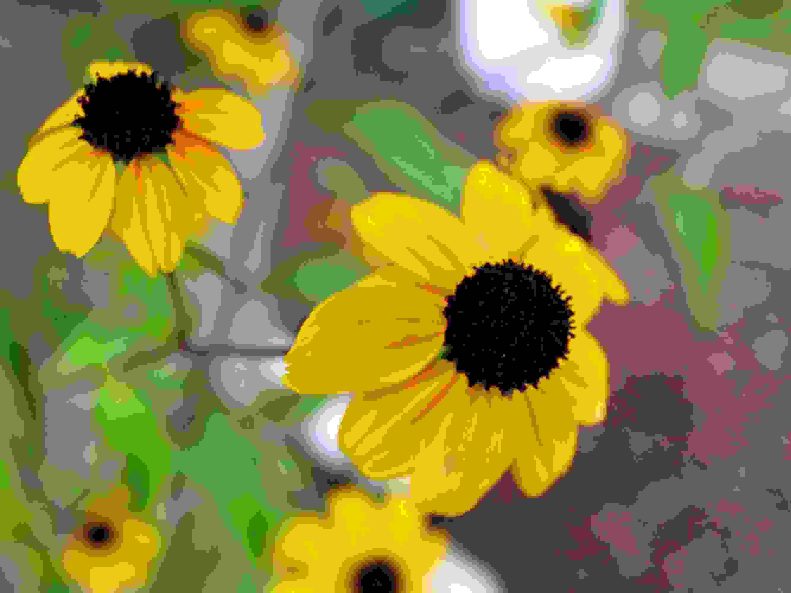 Sunflower Rectangle Pendant Necklace